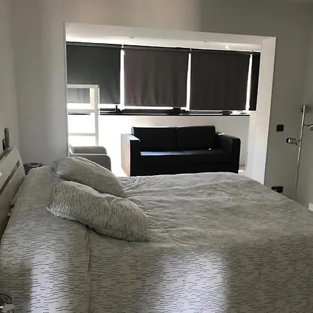 Seaview Penthouse アパート カンヌ