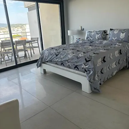 Seaview Penthouse Cannes